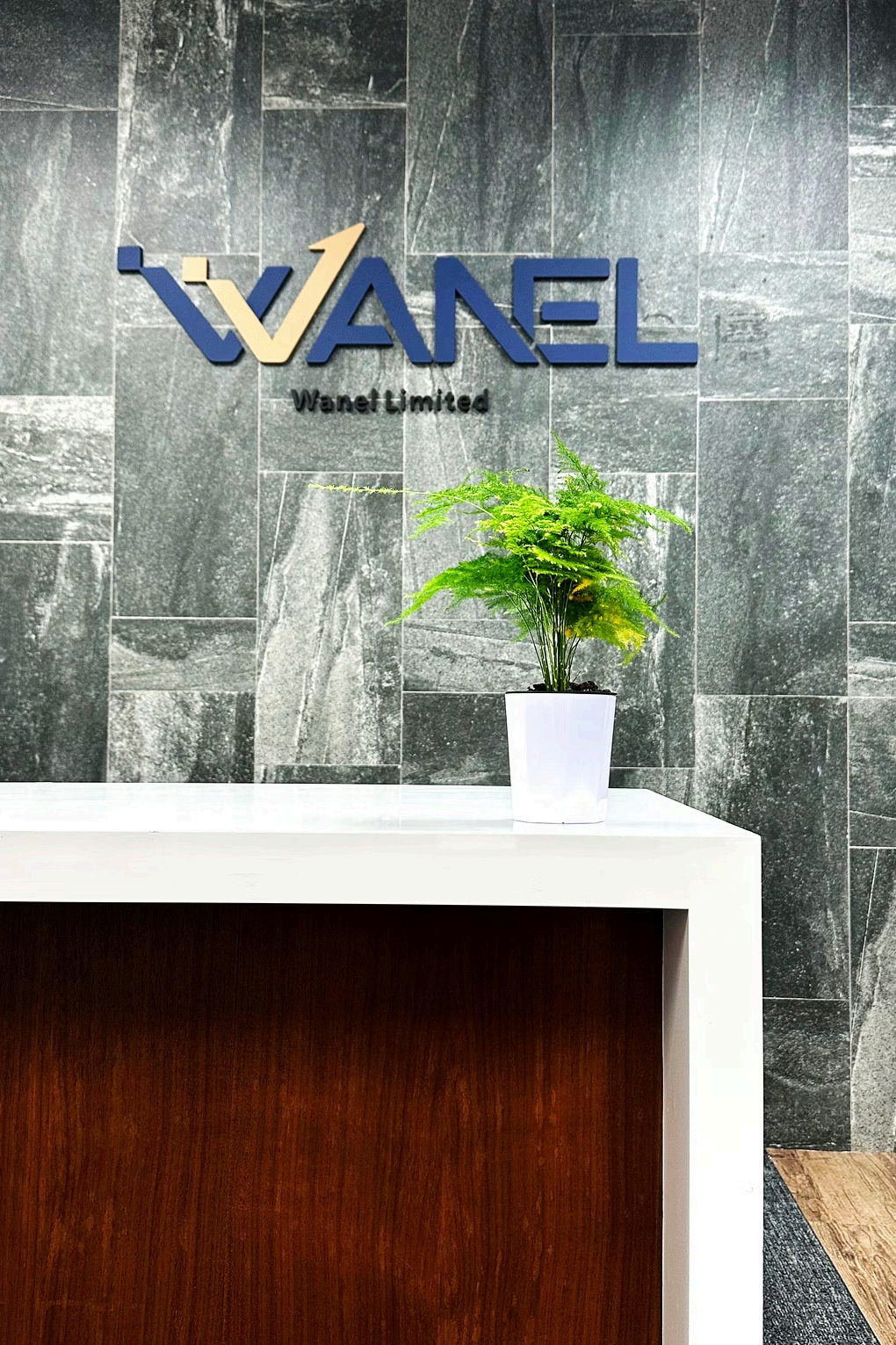 Wanel 香港办公室前台与品牌标识